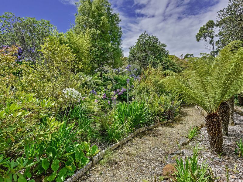 48 Old Jetty Road, EAGLEHAWK NECK, TAS, 7179
