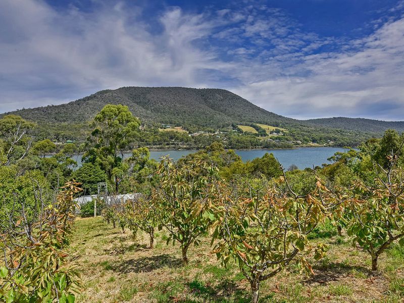 48 Old Jetty Road, EAGLEHAWK NECK, TAS, 7179