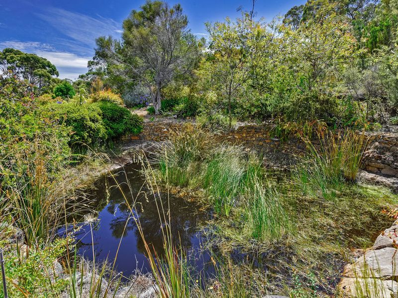 48 Old Jetty Road, EAGLEHAWK NECK, TAS, 7179