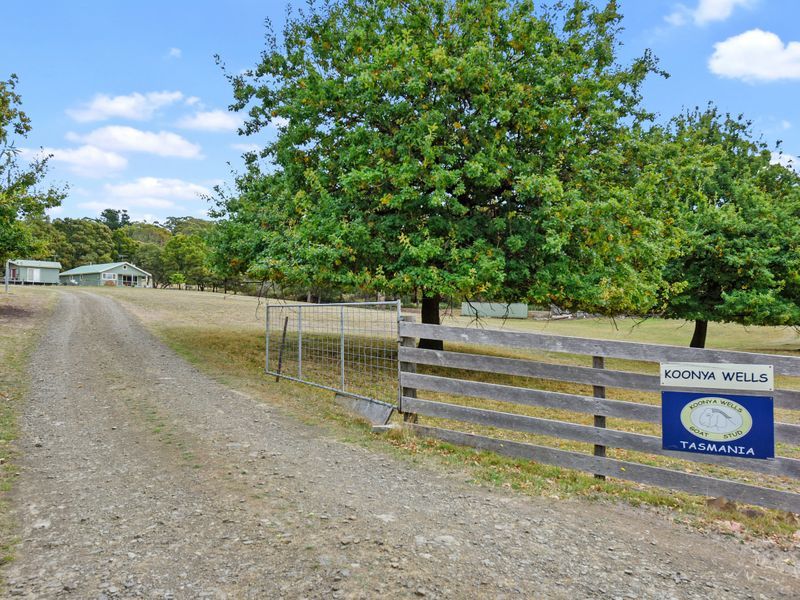 547 Nubeena Road, KOONYA, TAS, 7187