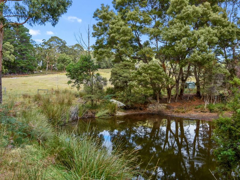 547 Nubeena Road, KOONYA, TAS, 7187