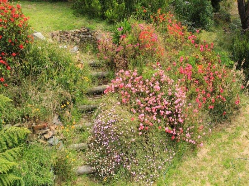 40 Blowhole Road, EAGLEHAWK NECK, TAS, 7179