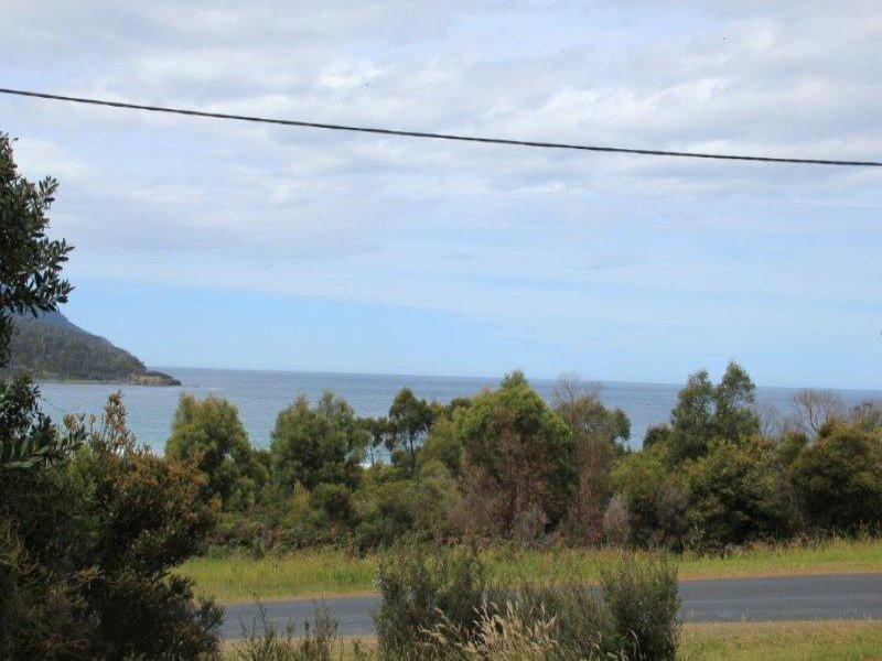 40 Blowhole Road, EAGLEHAWK NECK, TAS, 7179