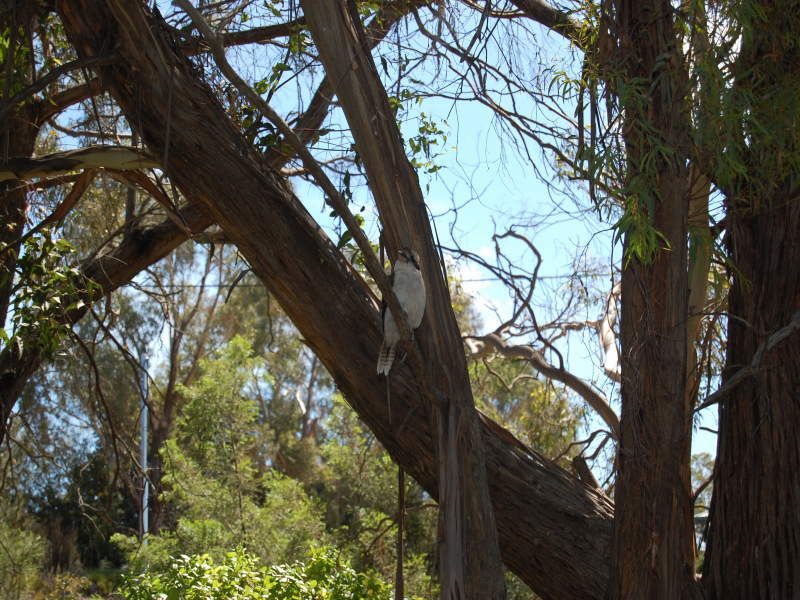 33B Provence Drive, CARLTON, TAS, 7173