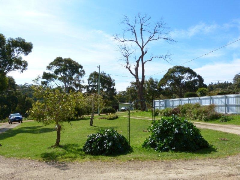 60 Alfred Street, NUBEENA, TAS, 7184