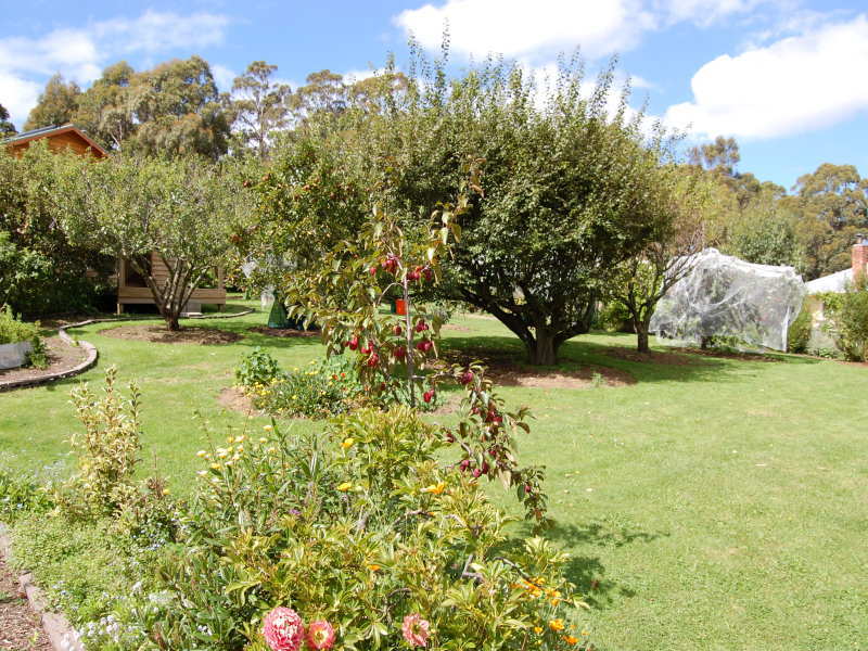 59 Hall Street, RIDGEWAY, TAS, 7054