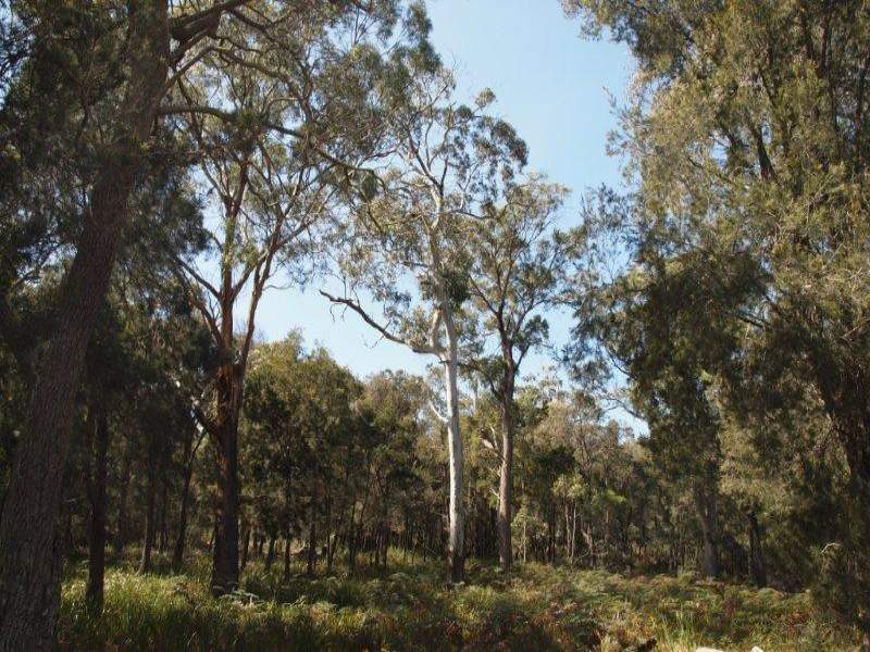 615 Sommers Bay Road, MURDUNNA, TAS, 7178