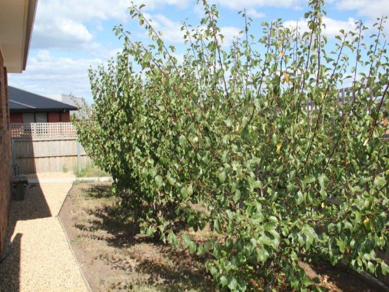 5 Billett Court, SORELL, TAS, 7172