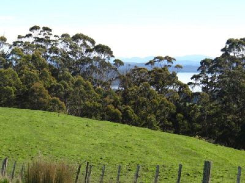 459 Nubeena Back Road, KOONYA, TAS, 7187