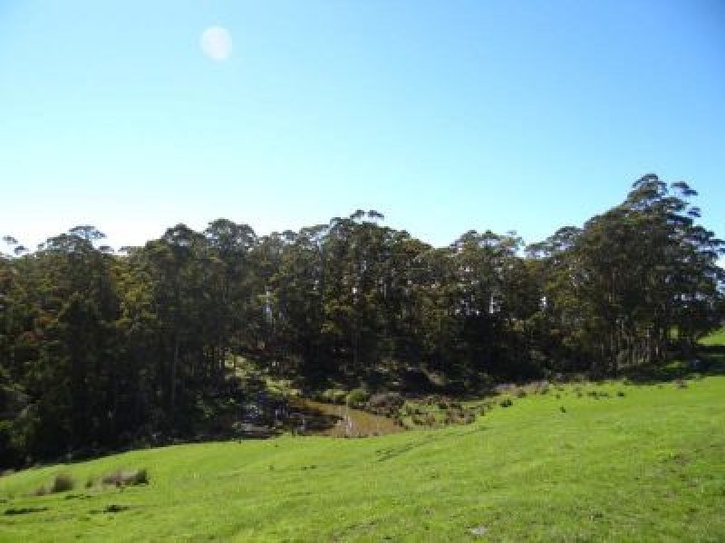 459 Nubeena Back Road, KOONYA, TAS, 7187