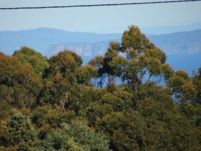 459 Nubeena Back Road, KOONYA, TAS, 7187