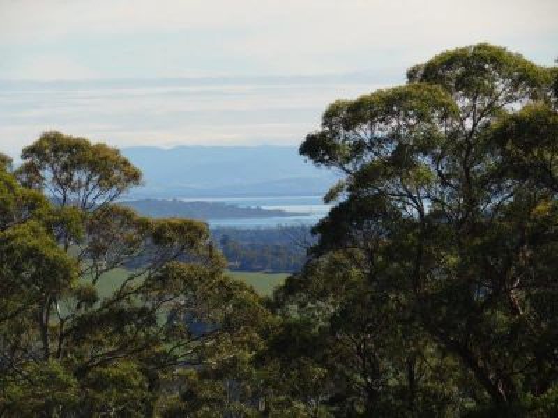 459 Nubeena Back Road, KOONYA, TAS, 7187