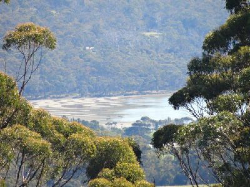 459 Nubeena Back Road, KOONYA, TAS, 7187
