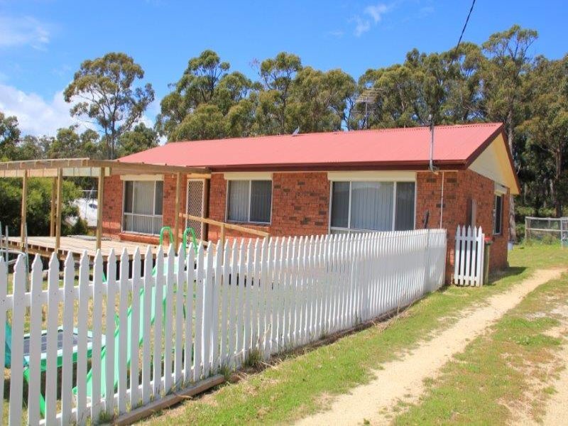 45 Free Street, WHITE BEACH, TAS, 7184
