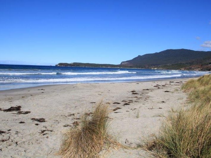 441 Pirates Bay Drive, EAGLEHAWK NECK, TAS, 7179