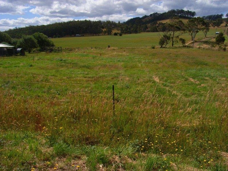 Lot 2 Marion Bay Road, COPPING, TAS, 7174