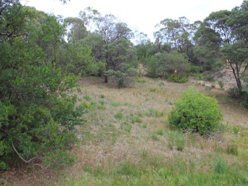 7 Elise , DODGES FERRY, TAS, 7173