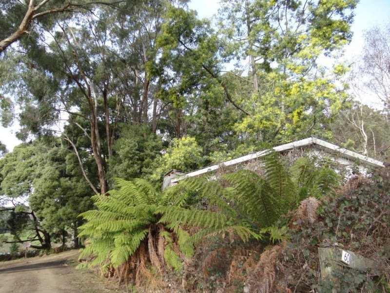 Lot 1, 60 Heywards Road, KOONYA, TAS, 7187