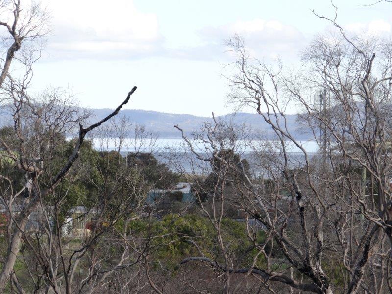 7 Clark Street, DUNALLEY, TAS, 7177
