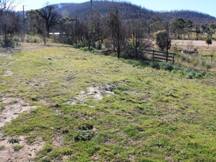 7 Clark Street, DUNALLEY, TAS, 7177