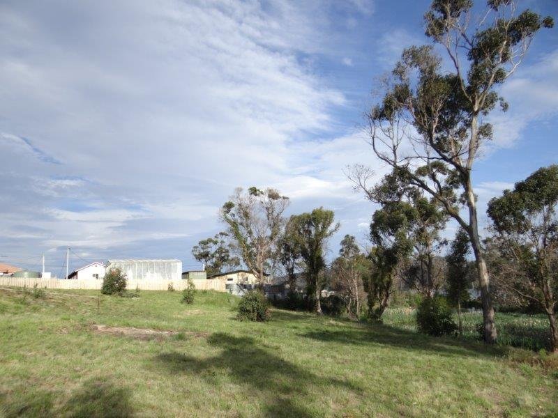 123-125 Arthur Highway, DUNALLEY, TAS, 7177