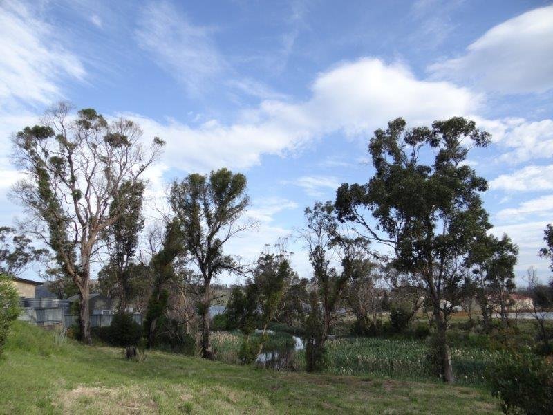 123-125 Arthur Highway, DUNALLEY, TAS, 7177