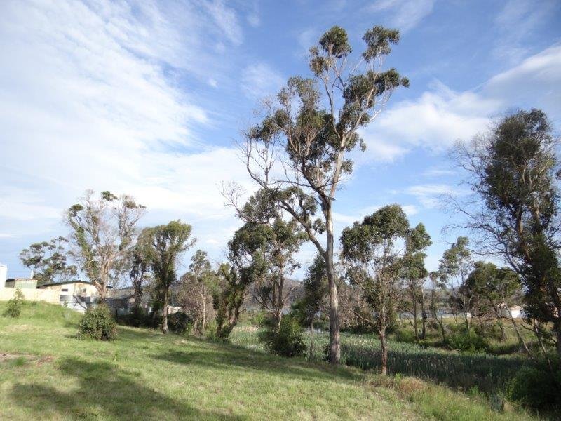 123-125 Arthur Highway, DUNALLEY, TAS, 7177