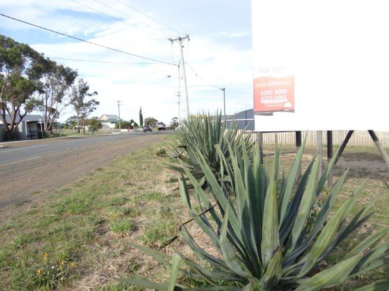 123-125 Arthur Highway, DUNALLEY, TAS, 7177