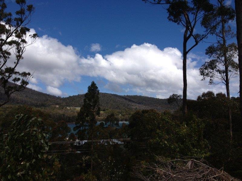 166 Old Jetty Road, EAGLEHAWK NECK, TAS, 7179