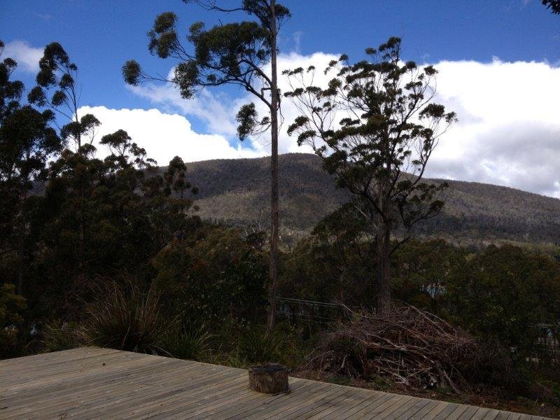166 Old Jetty Road, EAGLEHAWK NECK, TAS, 7179