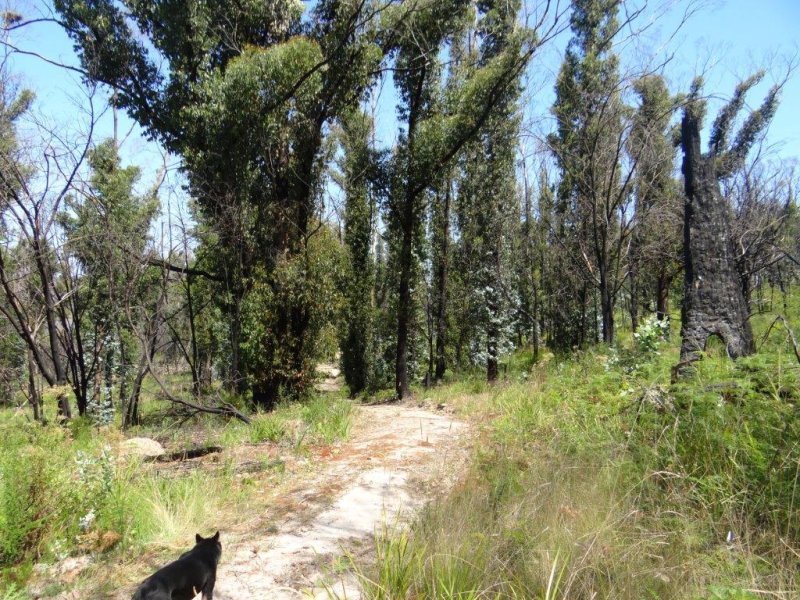 3834 Arthur Highway, MURDUNNA, TAS, 7178