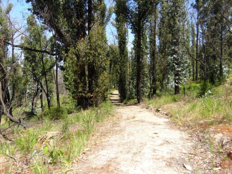 3834 Arthur Highway, MURDUNNA, TAS, 7178