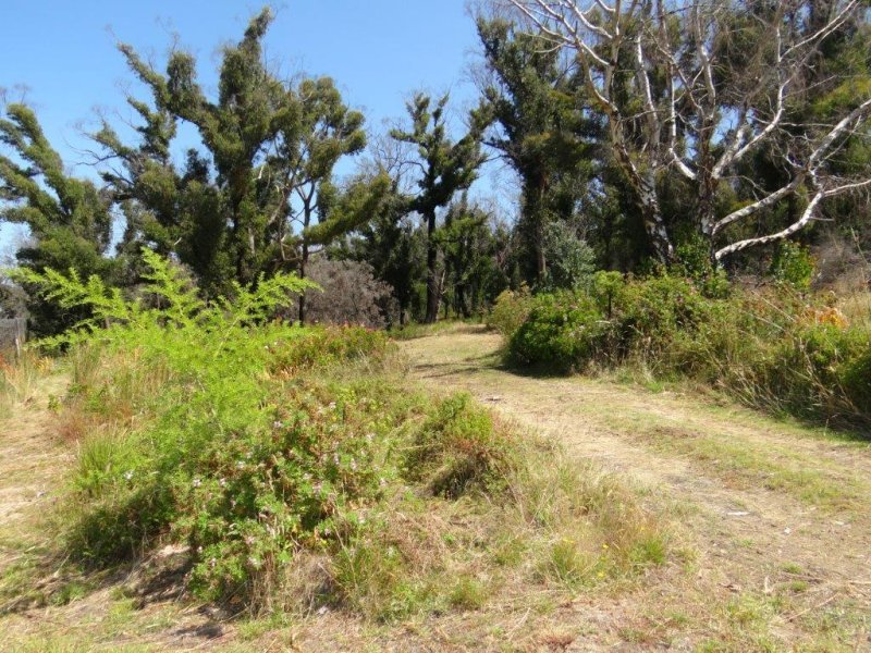 3834 Arthur Highway, MURDUNNA, TAS, 7178