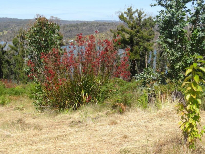 3834 Arthur Highway, MURDUNNA, TAS, 7178
