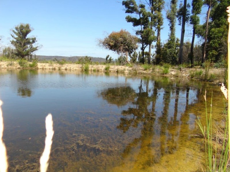 3834 Arthur Highway, MURDUNNA, TAS, 7178