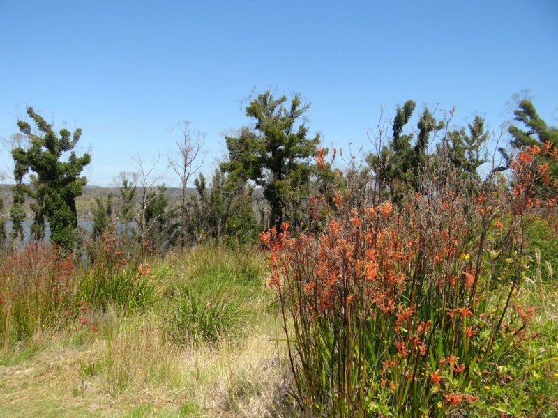 3834 Arthur Highway, MURDUNNA, TAS, 7178