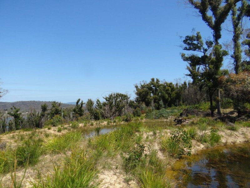 3834 Arthur Highway, MURDUNNA, TAS, 7178