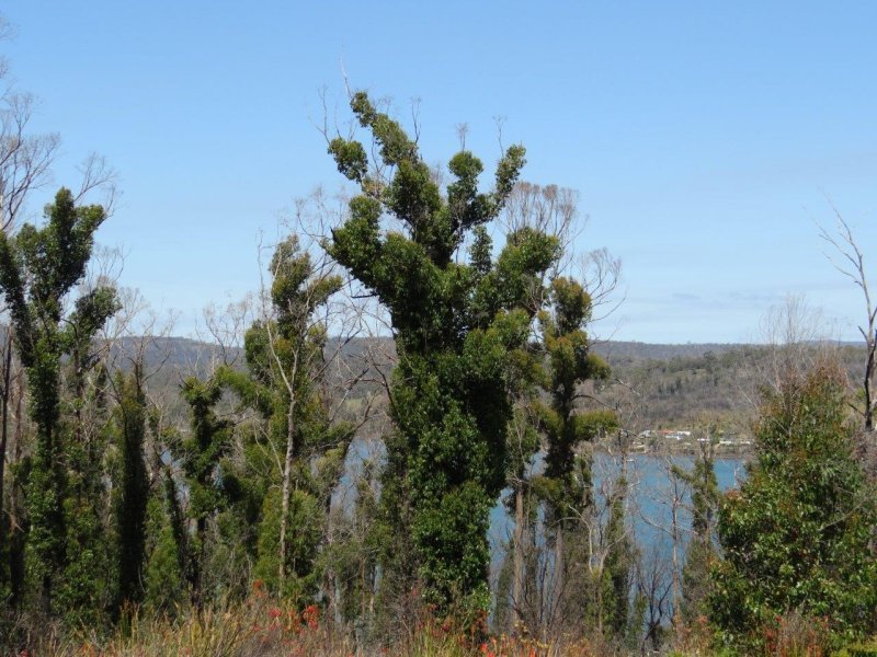 3834 Arthur Highway, MURDUNNA, TAS, 7178
