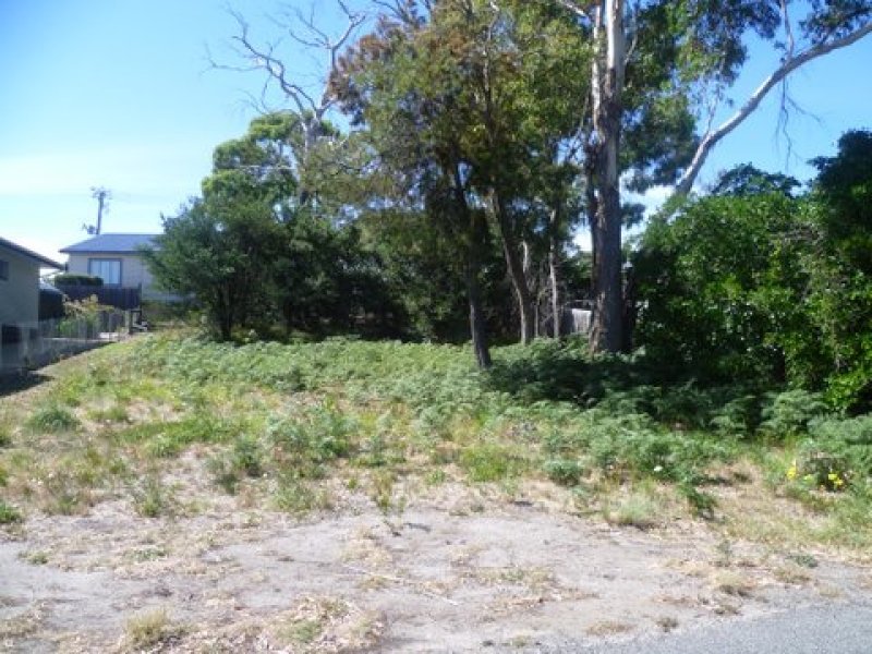 10 Richards Avenue, DODGES FERRY, TAS, 7173