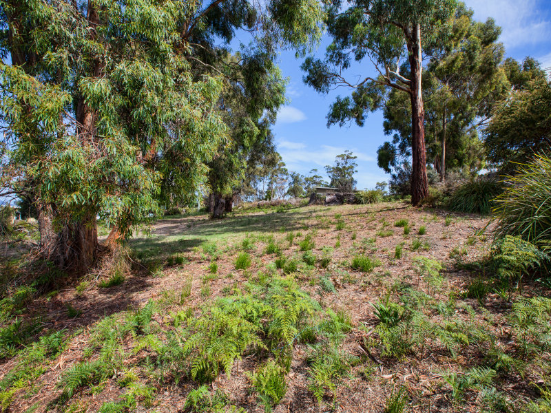 11 Boobyalla Street, PRIMROSE SANDS, TAS, 7173