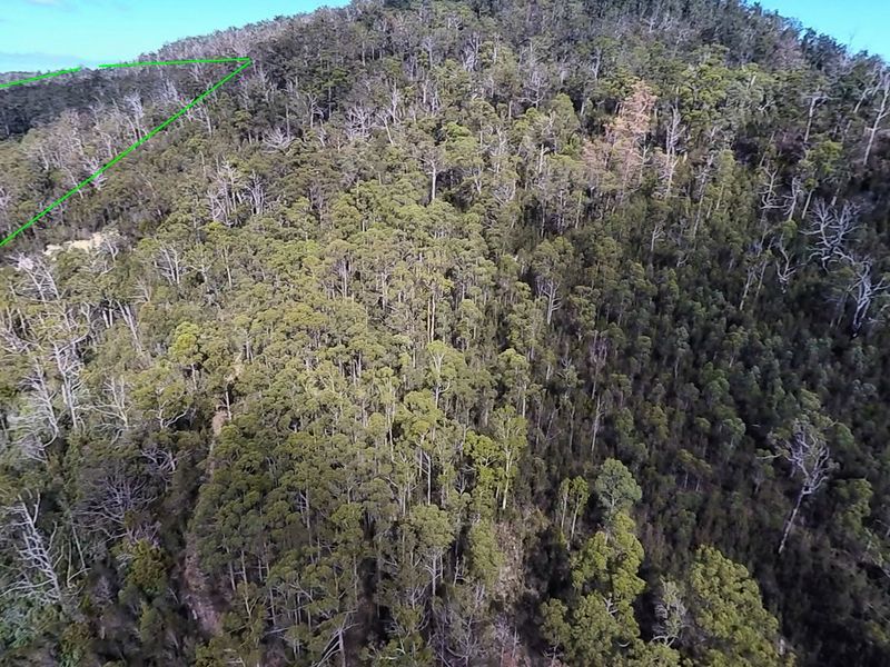 1936 Nubeena Road, NUBEENA, TAS, 7184