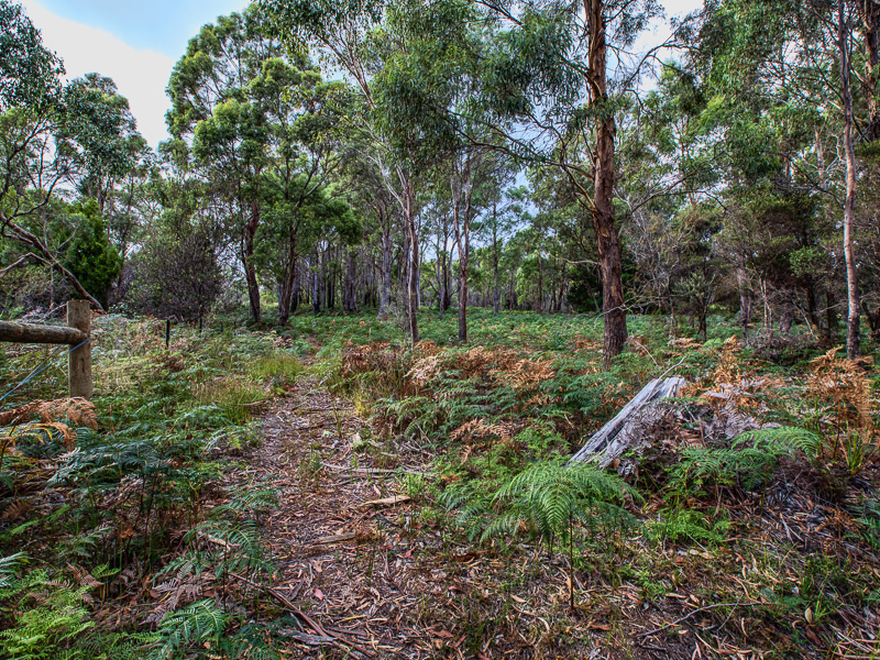 Lot 1, 576 Arthur Highway, TARANNA, TAS, 7180
