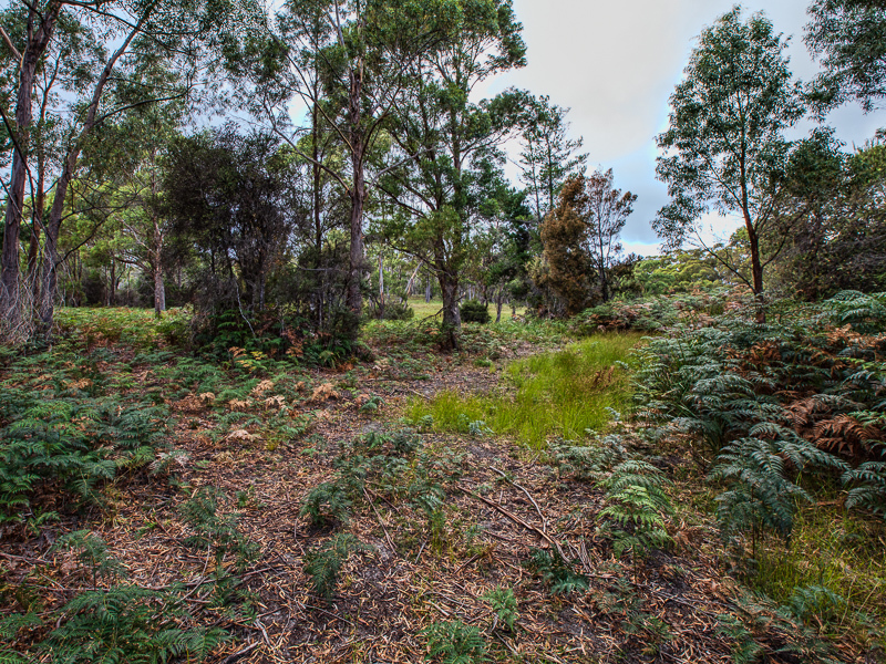 Lot 1, 576 Arthur Highway, TARANNA, TAS, 7180