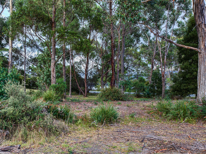 Lot 1, 576 Arthur Highway, TARANNA, TAS, 7180
