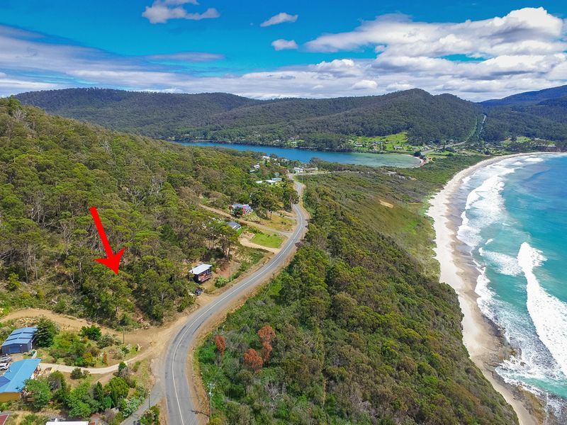 82A Blowhole Road, EAGLEHAWK NECK, TAS, 7179