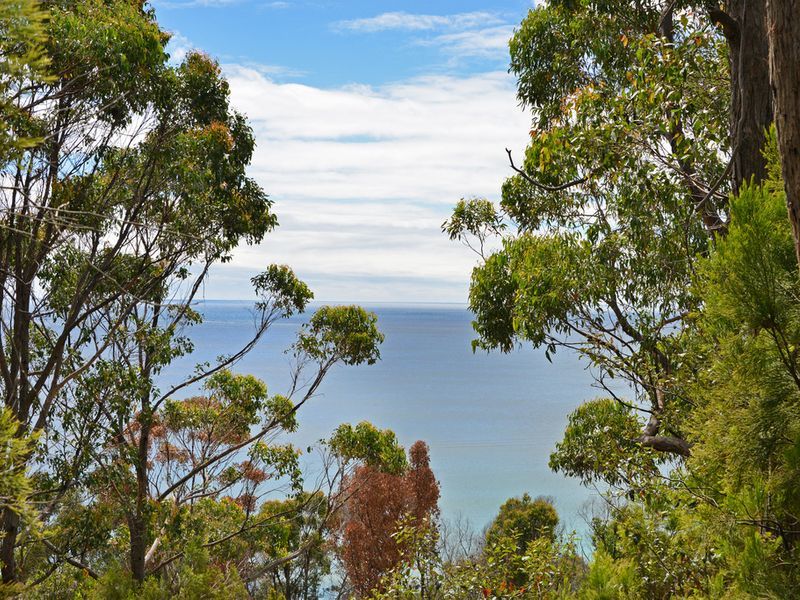 82A Blowhole Road, EAGLEHAWK NECK, TAS, 7179