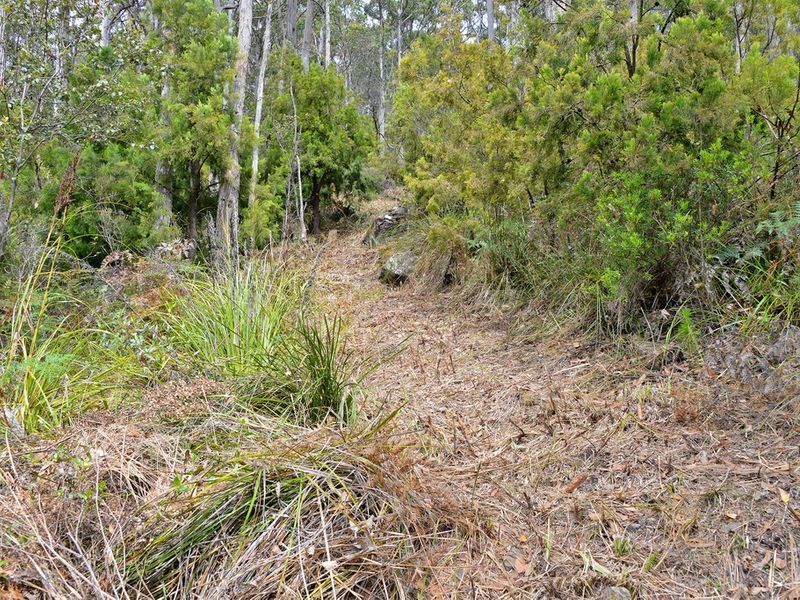 82A Blowhole Road, EAGLEHAWK NECK, TAS, 7179
