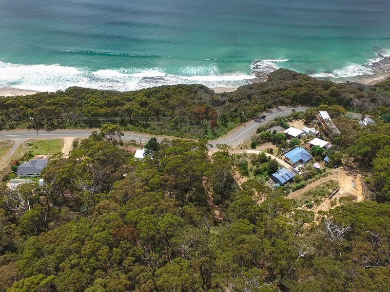 82A Blowhole Road, EAGLEHAWK NECK, TAS, 7179