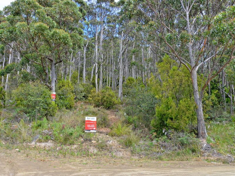 82A Blowhole Road, EAGLEHAWK NECK, TAS, 7179