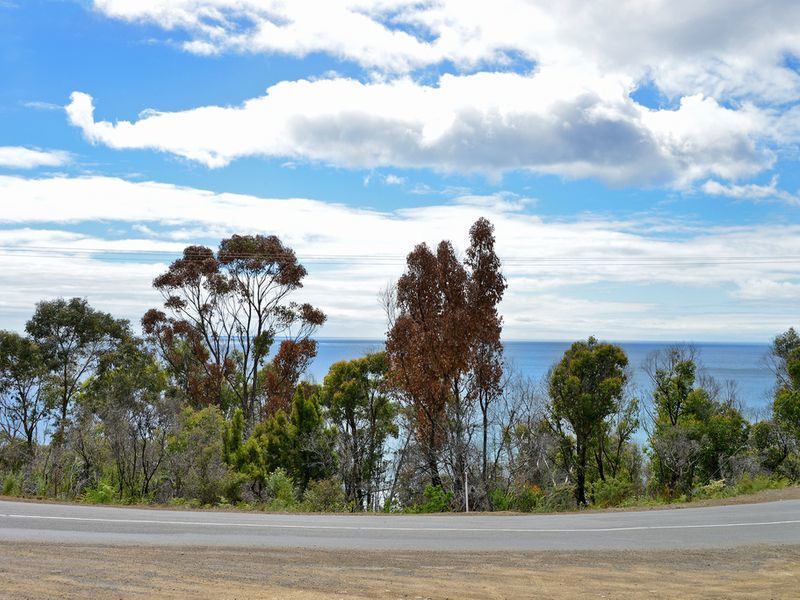82A Blowhole Road, EAGLEHAWK NECK, TAS, 7179